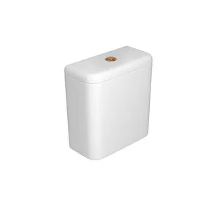 Caixa-Acoplada-Acionamento-Duo-Gold-Matte-36-Litros-Branco----CD11FGLMT17----Deca