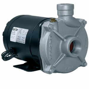 Bomba Centrífuga CAM W10 3CV T 220 380V IR3 - Dancor