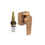 Acabamento-para-Registro-de-Pressao-Level-1-2-a-3-4---Gold-Red----4916GL26PQRD----Deca
