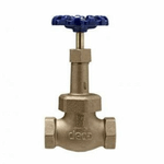 Registro-Globo-NPT-1-2---DN15-Bruto----00001201203----Deca